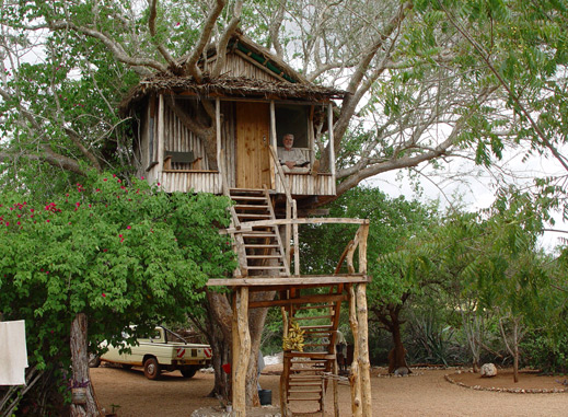 Treehouse at the camp